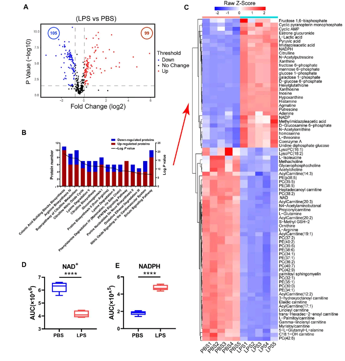 1644585938305422.png 下载 (6).png
