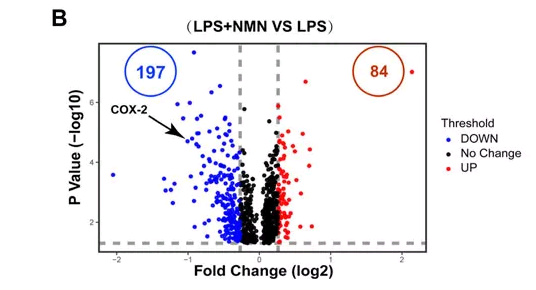 1644586005573005.png 下载 (8).png