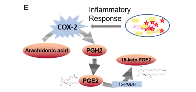 1644586037563961.png 下载 (9).png