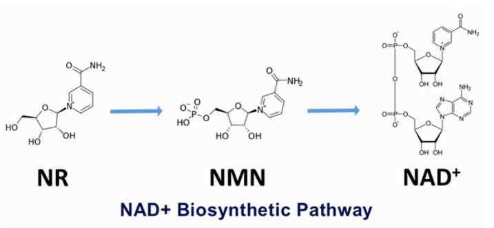 1644589525191067.png 下载 (17).png