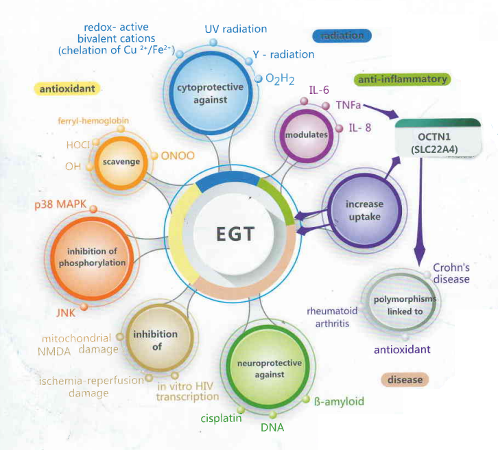 1685366574538821.png 2.png