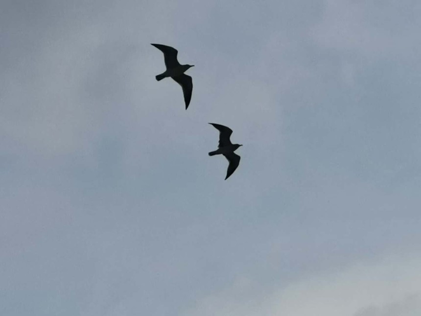 ΢ňDƬ_20201005231205.jpg