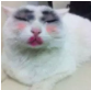 1614124741973435.png image.png