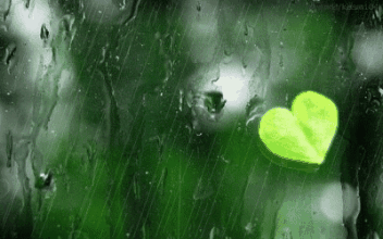 1631190376851490.gif