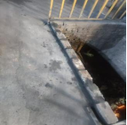 1768028544206988.png image.png