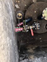 1768552446332623.png image.png