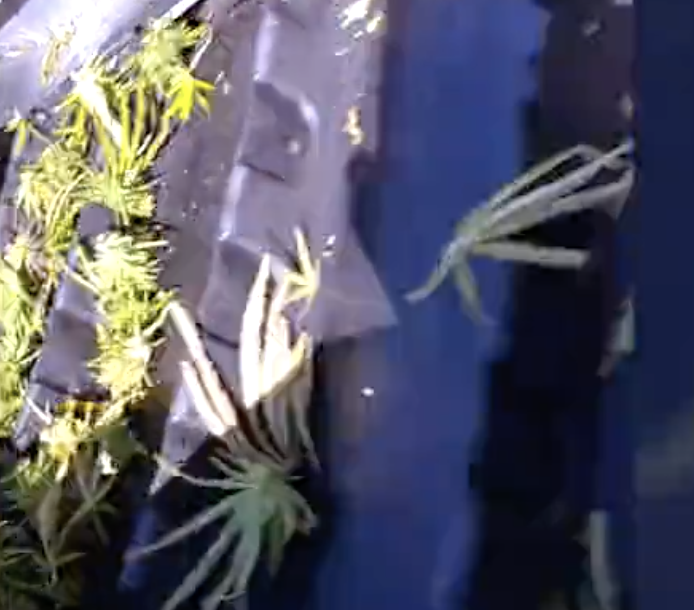 ΢ňDƬ_20201030155949.png