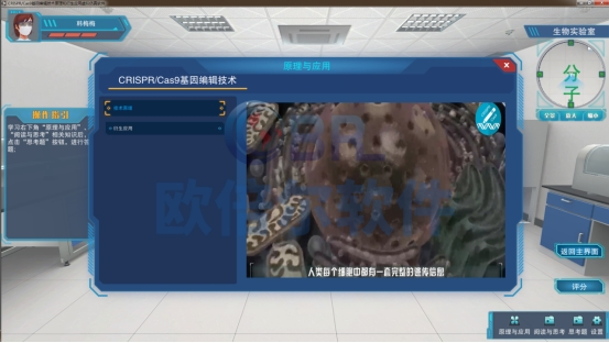 ͼƬ 3.png