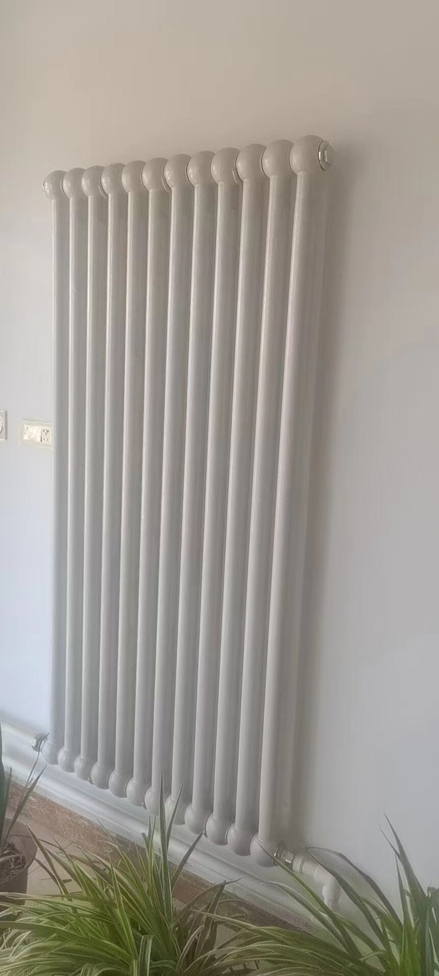 1697780219379556.jpg