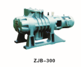 ZJB-300