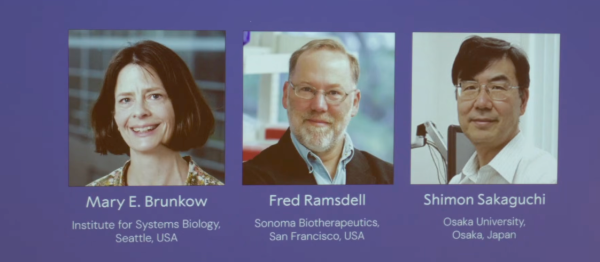 1761728296842664.png image.png