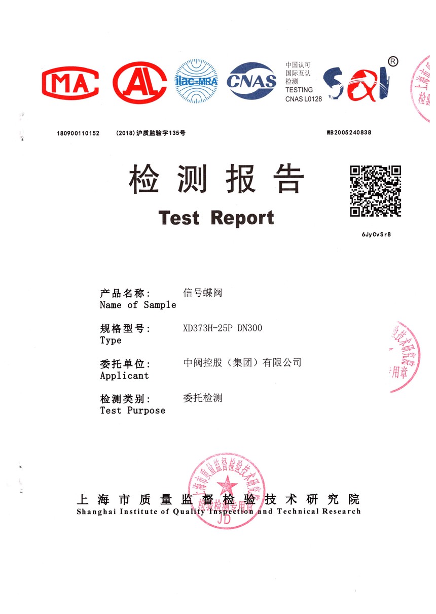 źŵXD373H-25P DN300_ҳ_1.jpg