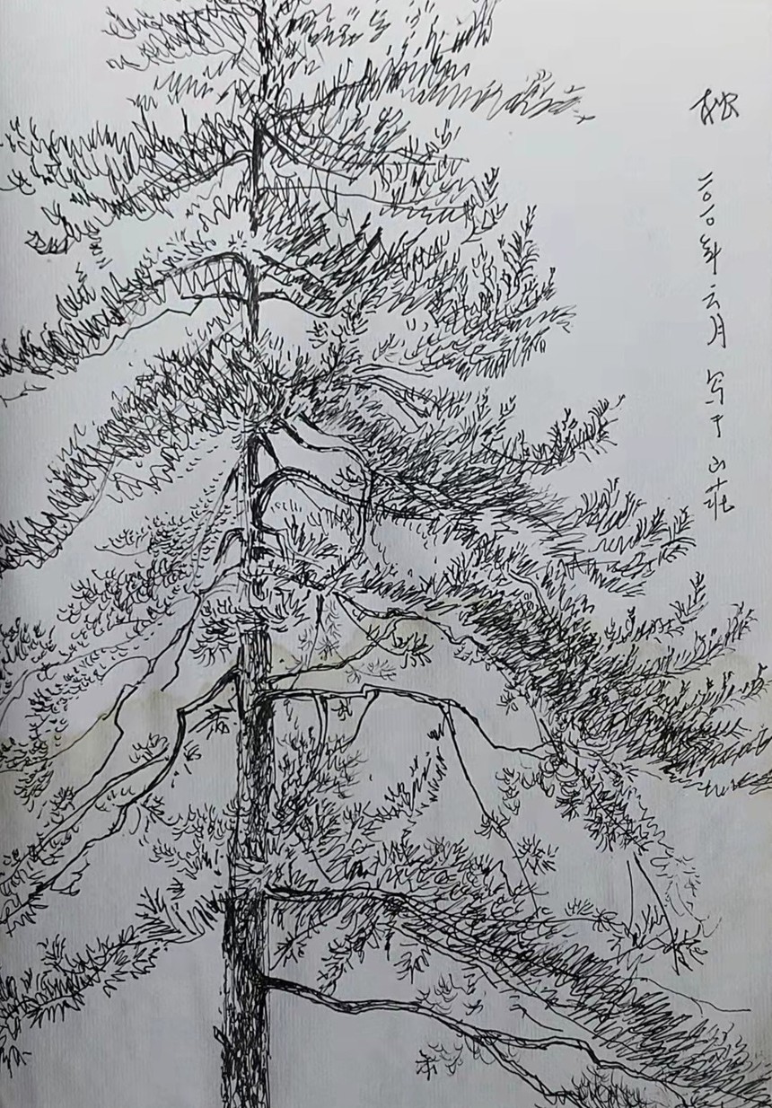 1652019287267030.jpg