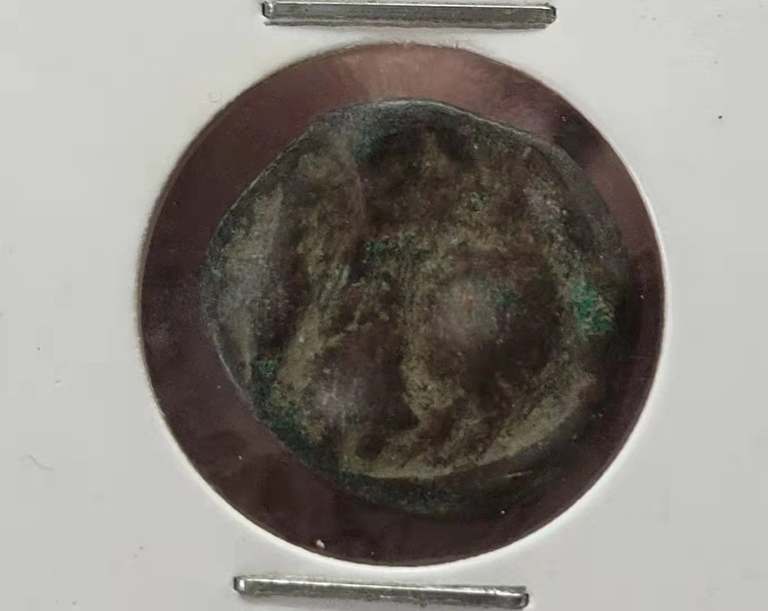 1657763135243867.jpg