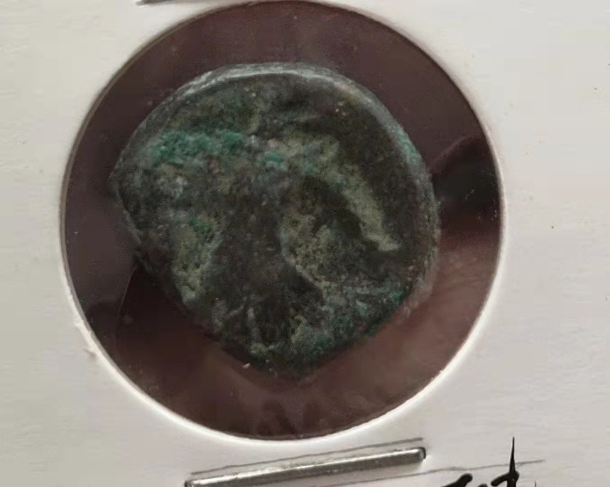 1657763136416767.jpg