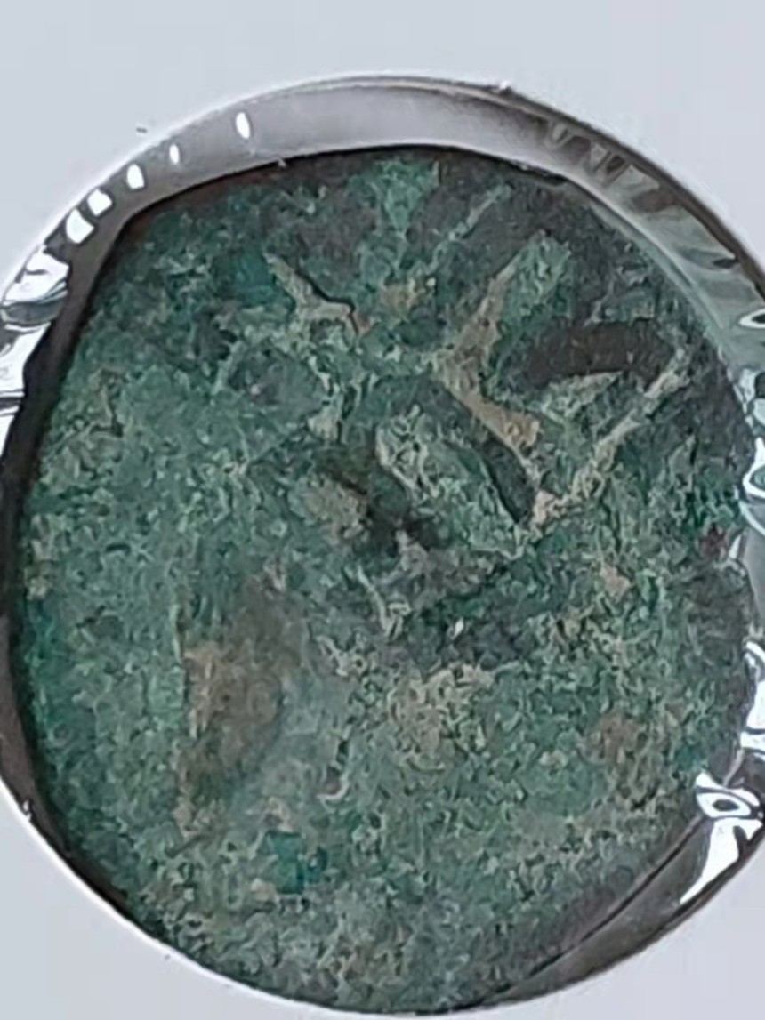 1658045458990282.jpg