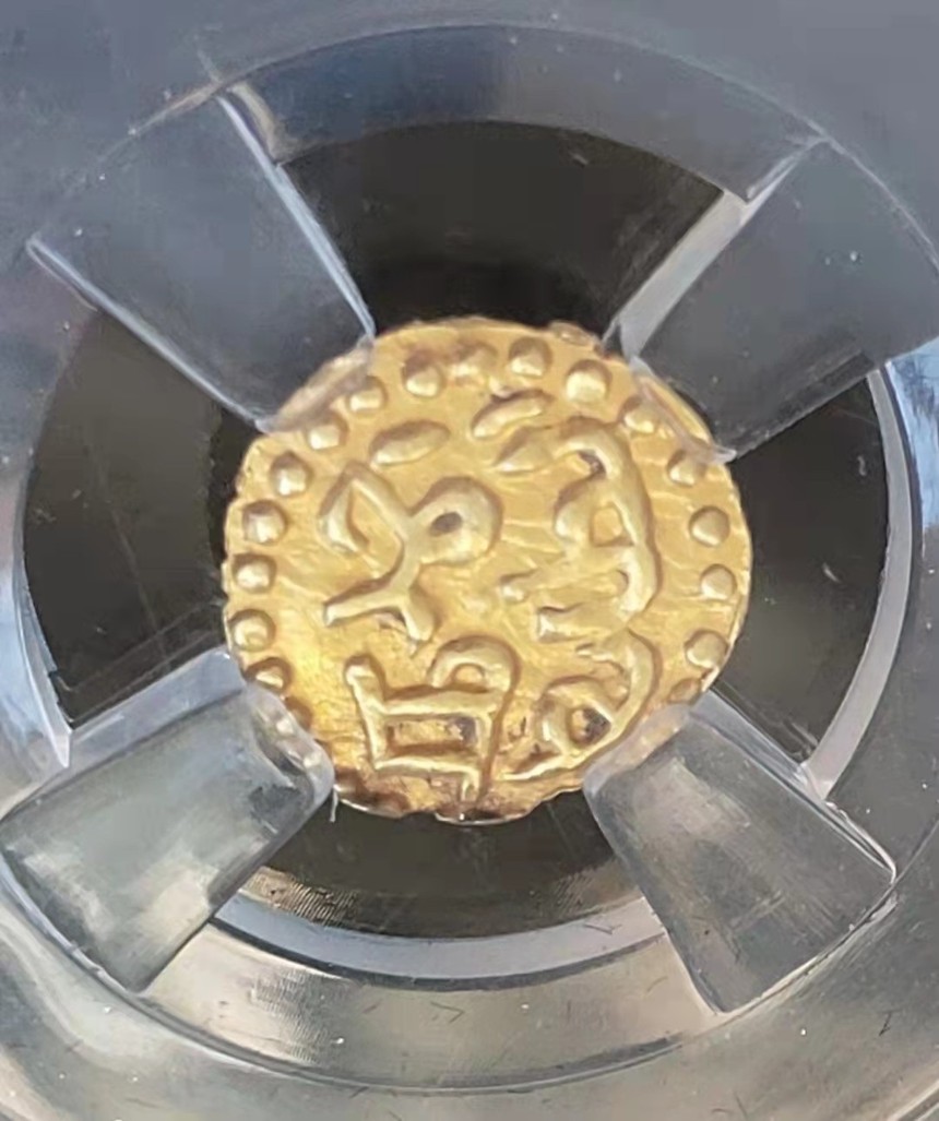 1658477595419173.jpg