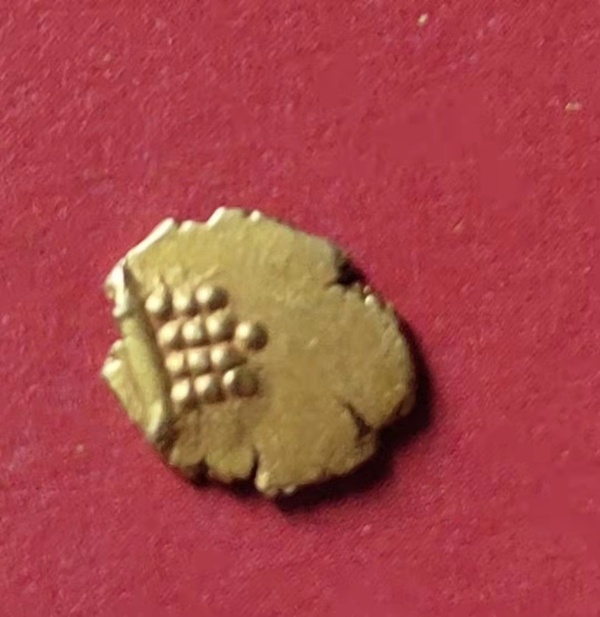 1659516833993082.jpg