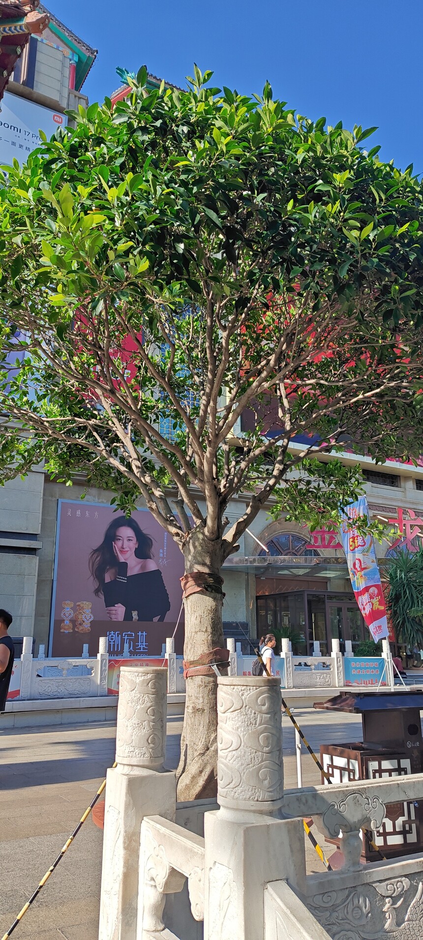 P20260719-162637.jpg