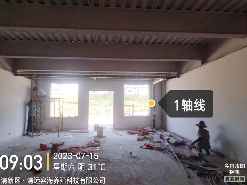 十三码必中一码