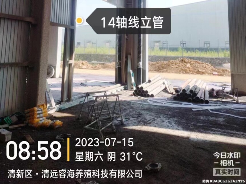 十三码必中一码