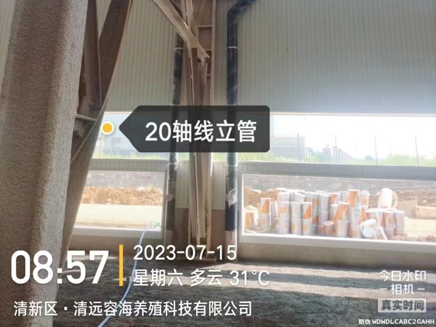 十三码必中一码