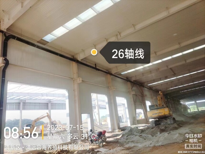 十三码必中一码