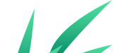 4.png