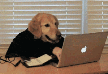 1659665456357750.gif