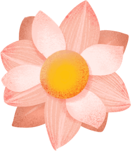 5.png