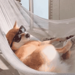 1667788975981685.gif 1667788975981685.gif