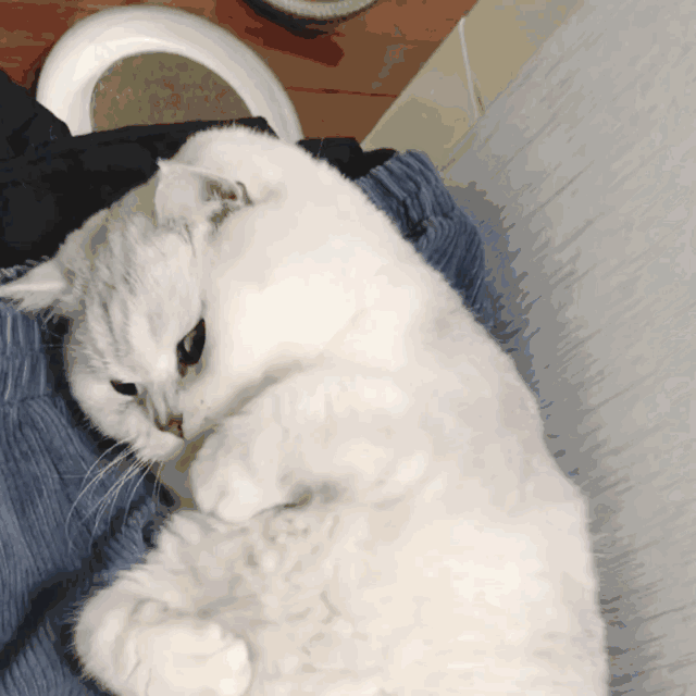 1669084532633994.gif