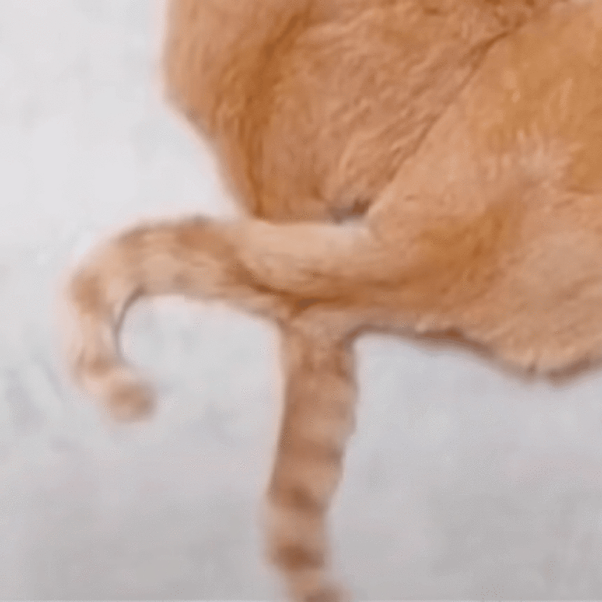 1669340840208869.gif 1669340840208869.gif