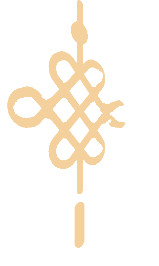 1675235089606552.gif