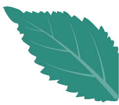1676871759915624.png