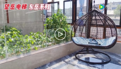 家用電梯-東岳系列-別墅電梯高端定制