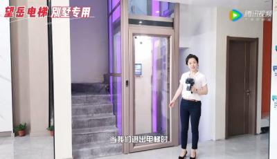 【講解】望岳家用別墅電梯防夾功能