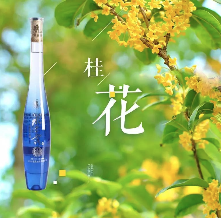 ѩ¶ʲô