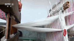 5.gif