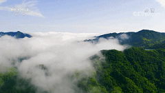 7.gif