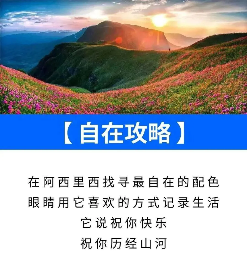 8.webp.png