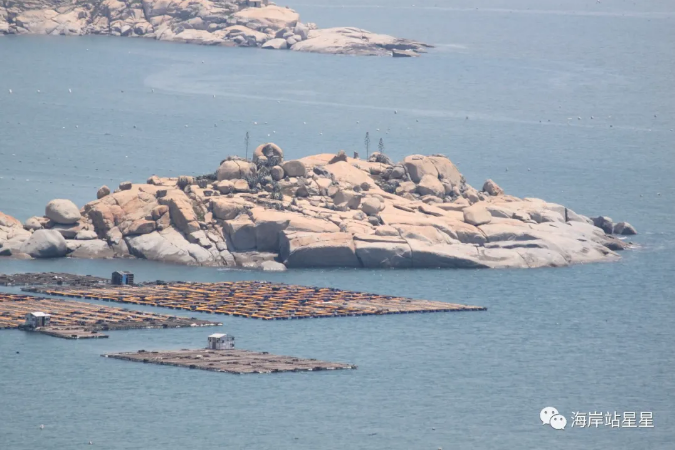 1765191035191861.png image.png