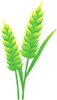螺旋压榨机