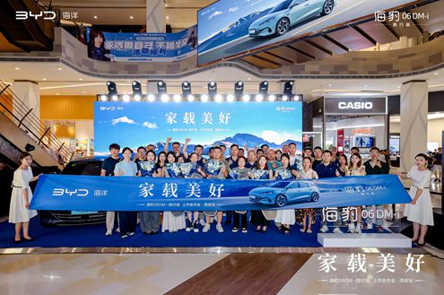 ȫ׿г06DM-iаУۼ10.98