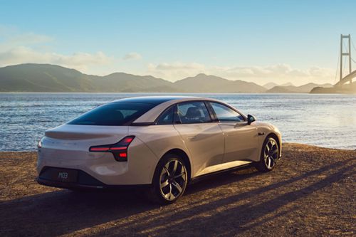 1727178095419435.jpg 18.jpg