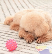 1746865047532461.png 微信截图_20250510161618.png