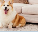 1747444448489308.png 微信截图_20250517090615.png