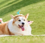 1747580979219084.png 微信截图_20250514102202.png