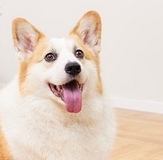 1747581116369504.png 微信截图_20250514102300.png