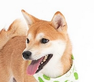 1747657341447850.png 微信截图_20250513205655.png